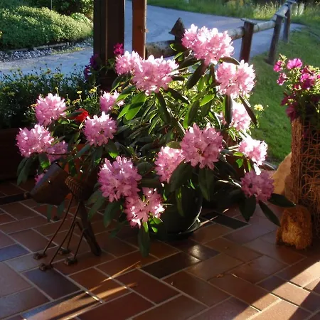Landpension Koberl Guest house 4*